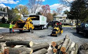Best Aeration Services  in Bethlehem, WV