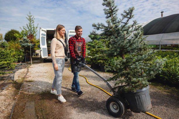 Best Emergency Tree Removal  in Bethlehem, WV